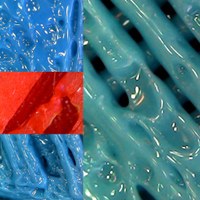 Microscopic photos of the soft materials.
