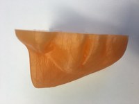 Cross-section of a human face.