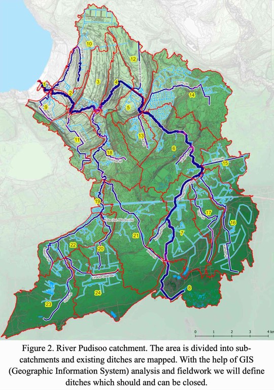 Figure 2.jpeg