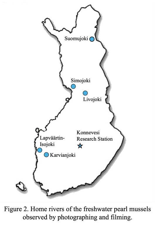 Observed popualtions on map_crop.jpg