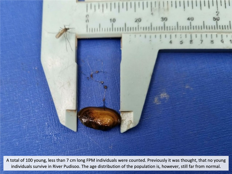 Picture 2 with text.png