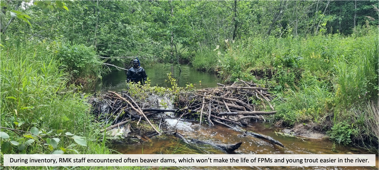 Picture 3 with text.png