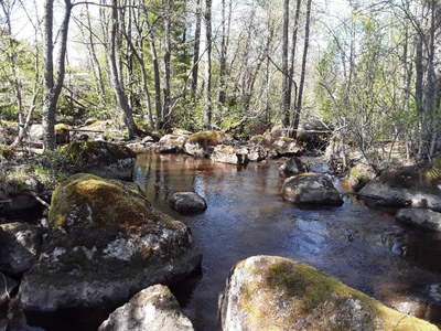 River management committees in Pirkanmaa