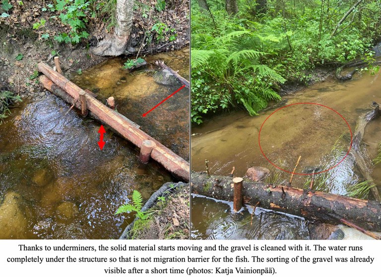 Figure 3.jpeg Figure 3.jpeg