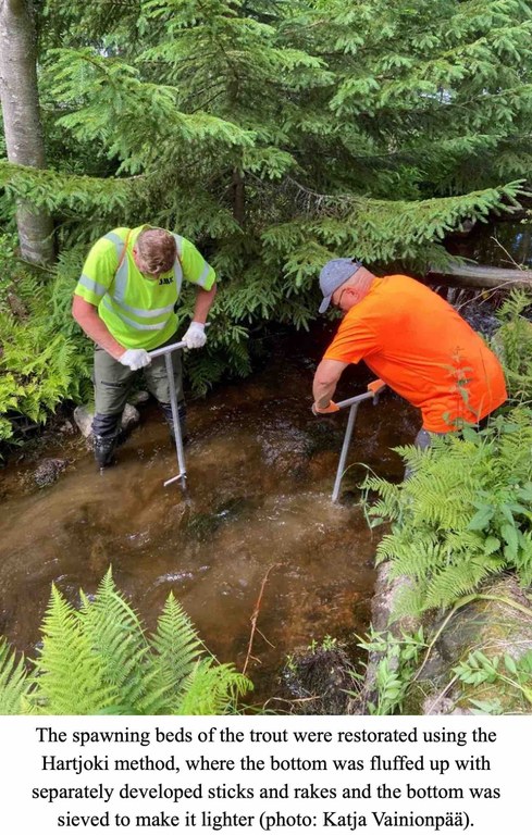 Figure 7.jpeg Figure 7.jpeg