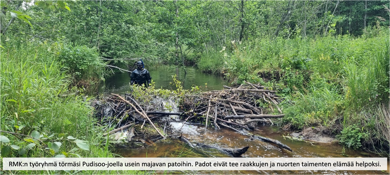 Kuva 3 tekstillä.png