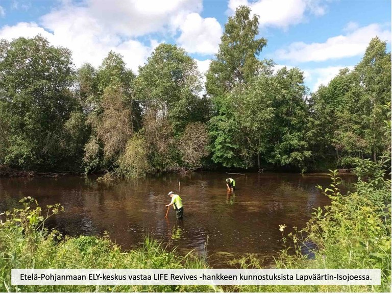 Kunnostusta_teksti_pieni.jpg
