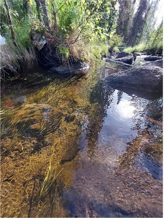 Picture 2.jpg