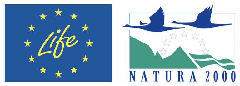 LIFE-Natura_pieni.jpg