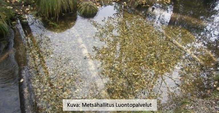 C3_suomi_Example of an FPM juvenile kindergarten_MHPWF_muokattu.jpg