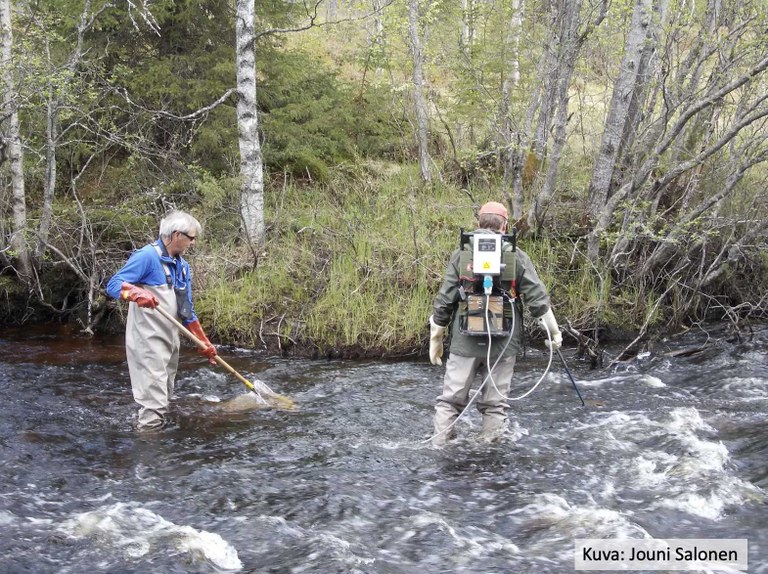 D3a_suomi_Electrofishing (river unknown) - Jouni Salonen.jpg