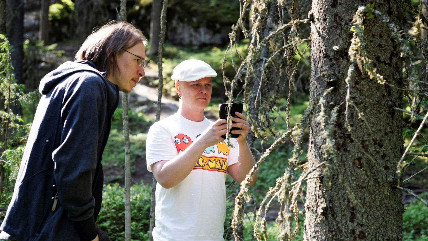 Ilkka Pölönen ja Kimmo Riihiaho etsivät hyönteistuhoja Laajavuoren metsässä.