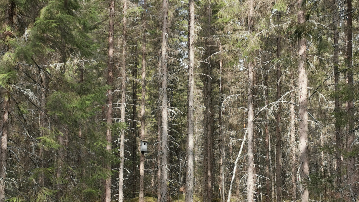 Kohti ympäristömyönteisempää käyttäytymistä