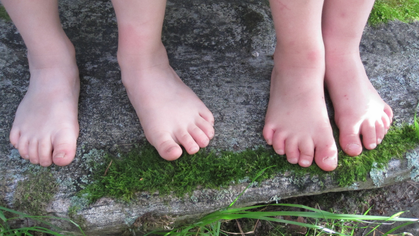 Rural Generations on the Move. Cultural History of Rural Youth, 1950–2020 