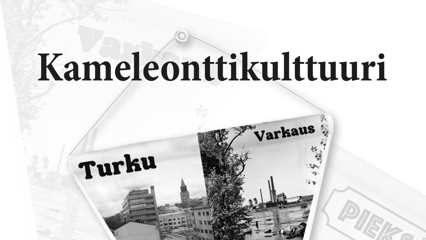 Kameleonttikulttuurikirjan kansi. 