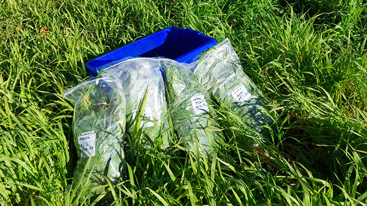 Kemian laitoksen turbits-hanke