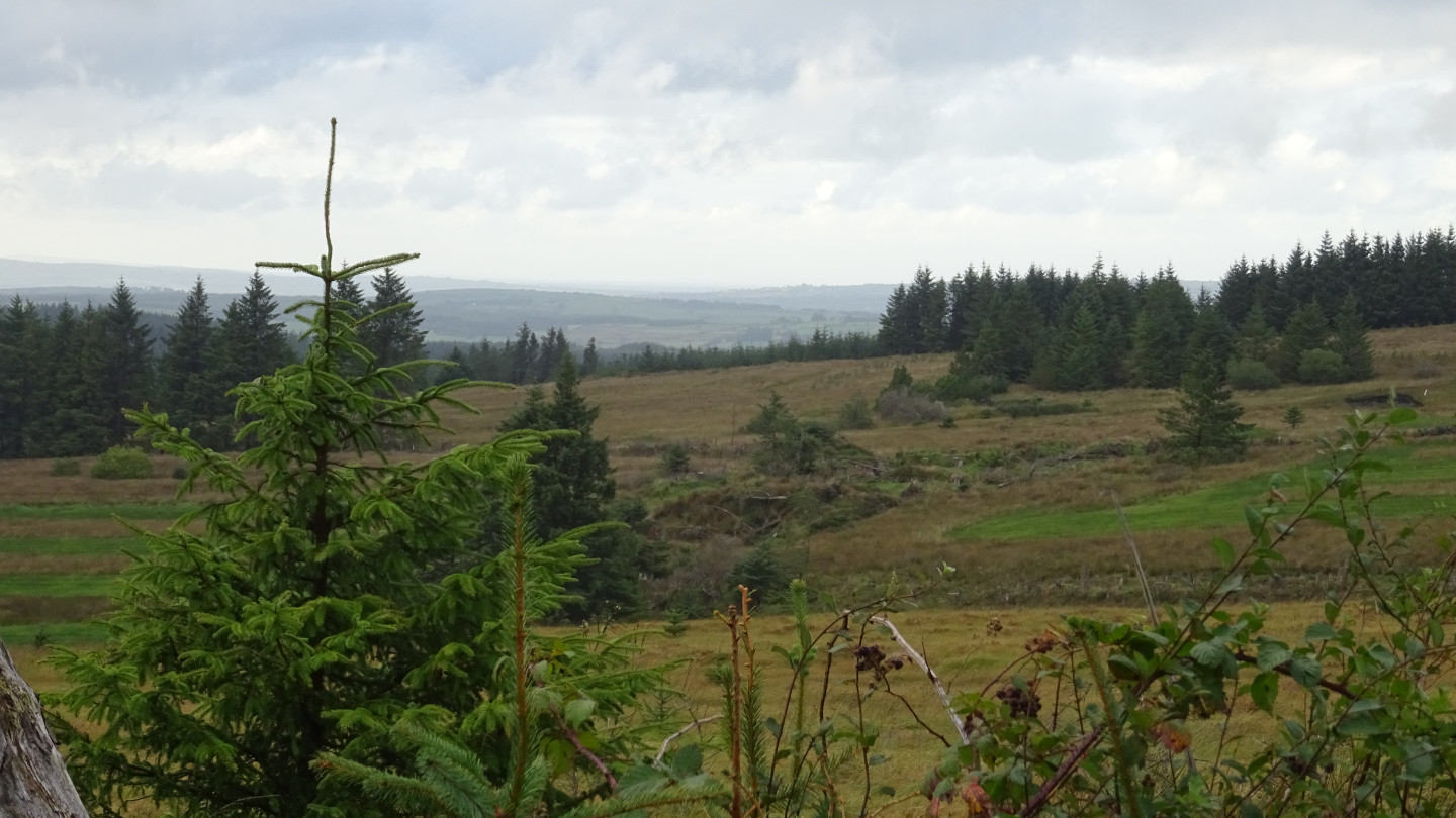 Irish landscape
