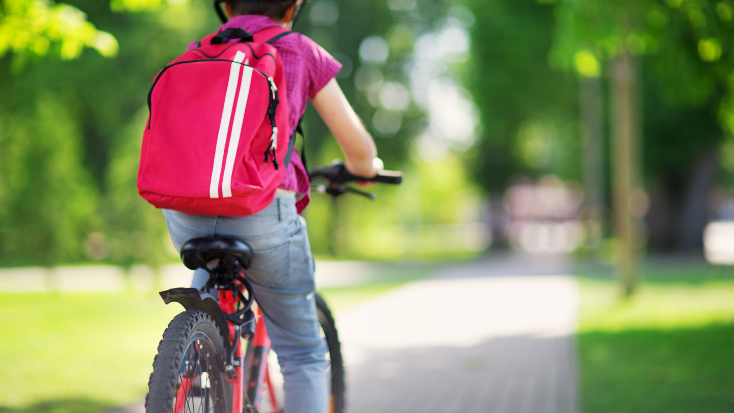 Generational Differences In School Commuting Parental Physical Generational Differences In School Commuting Parental Physical
