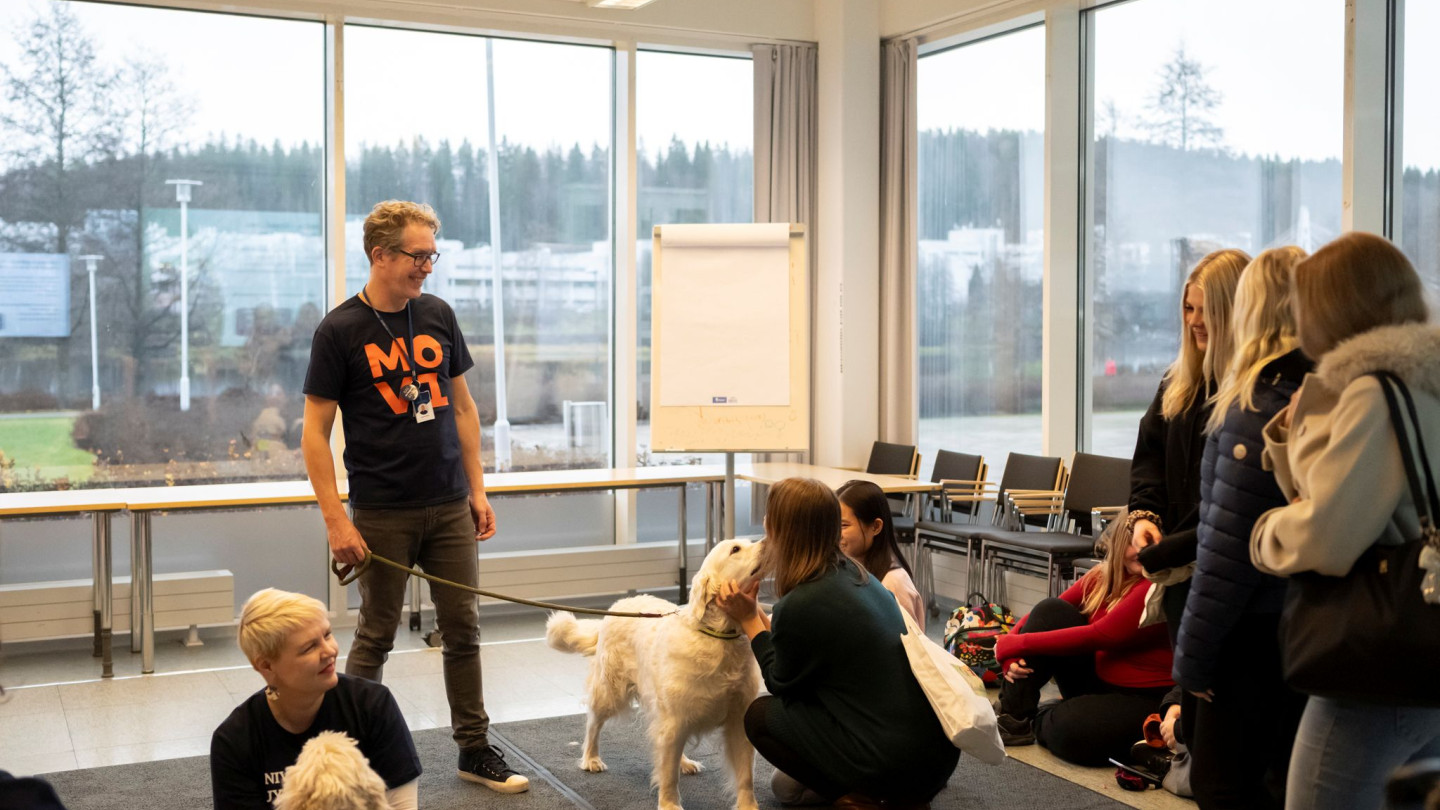 Kaverikoirat Hakijan päivässä 2025