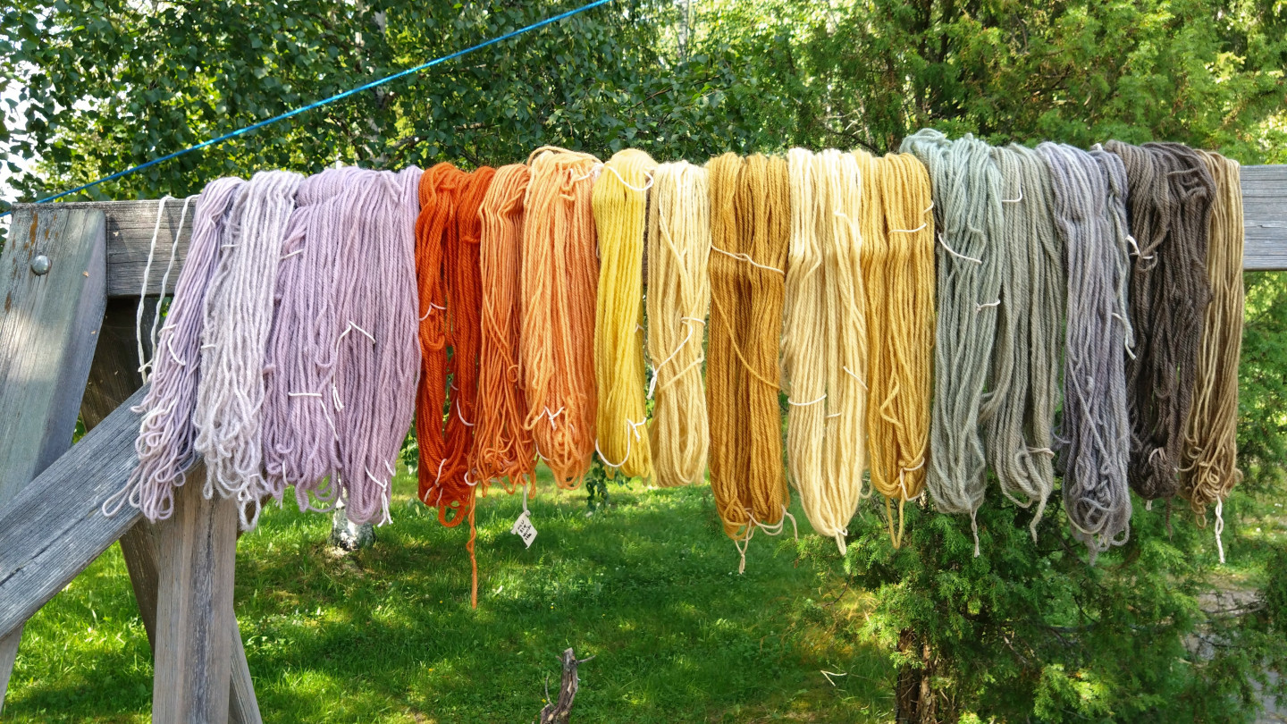 Sienivärjäyskurssin satoa