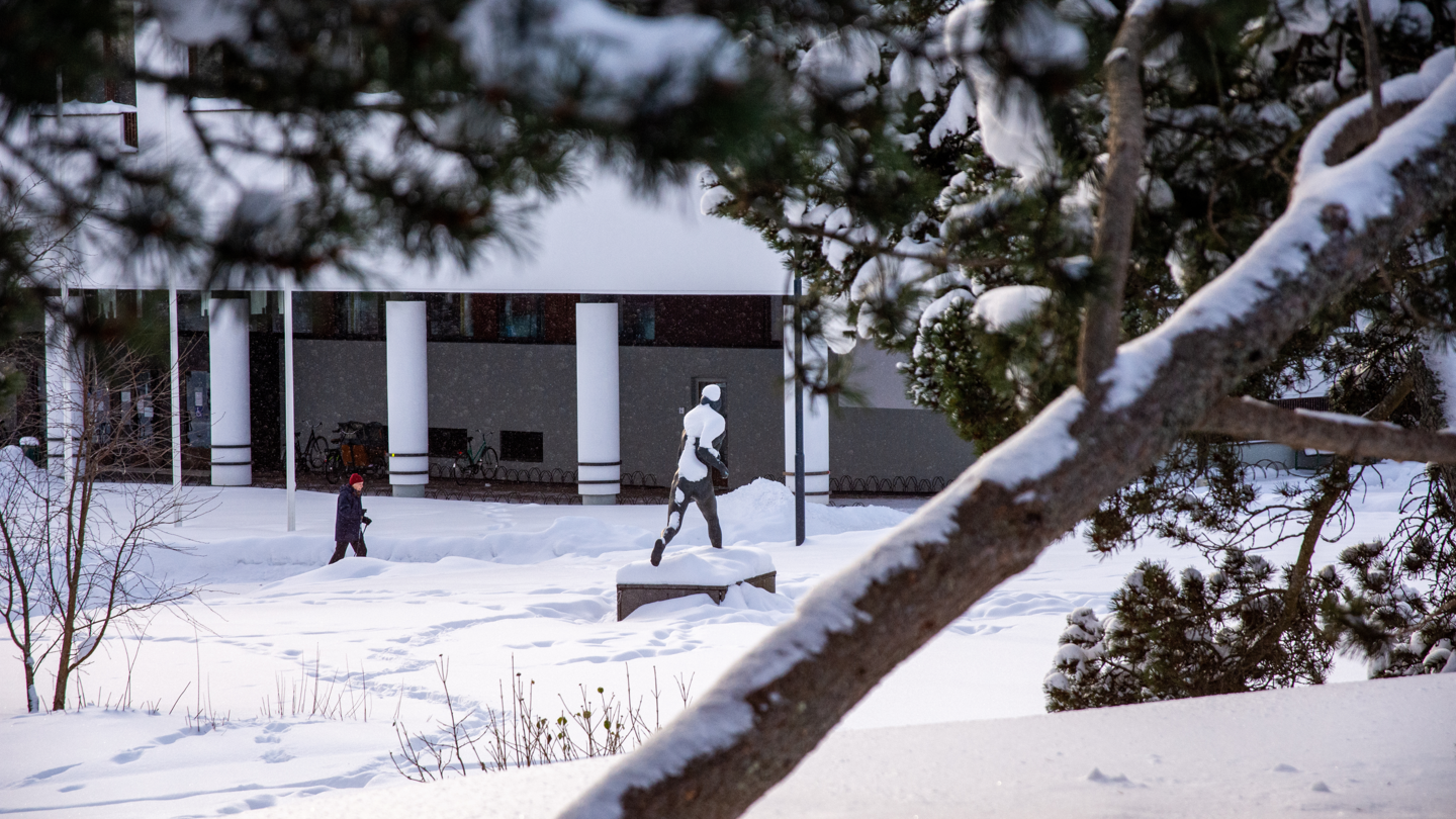 Liikunta-rakennus talvisäässä