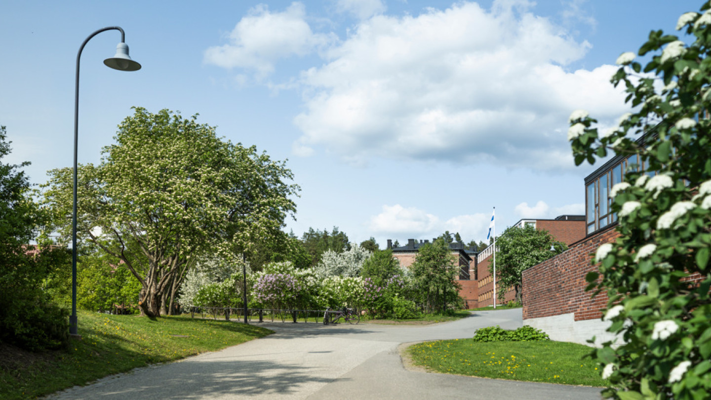 Picture from Seminaarinmäki campus during summer