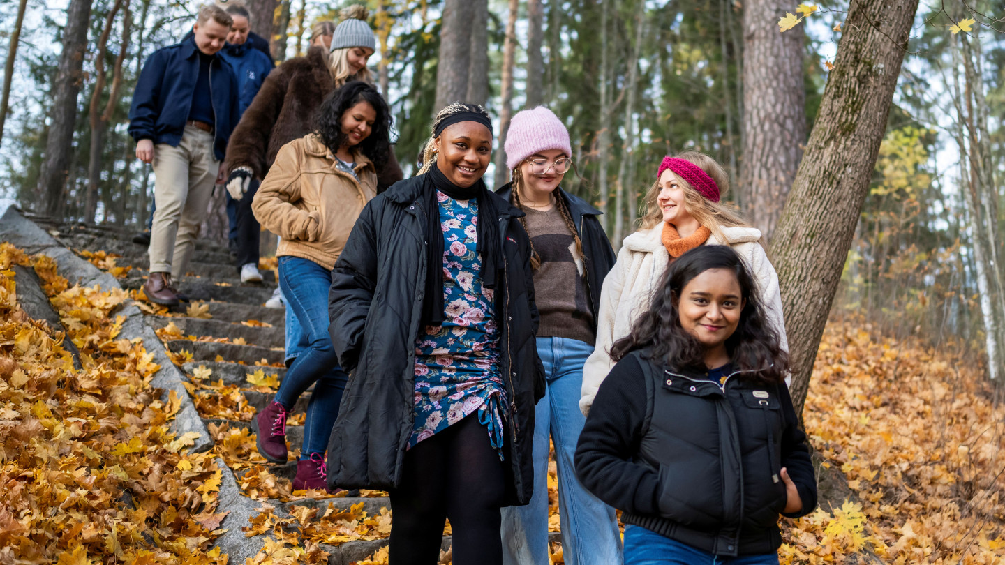 Seven students walk down a set of outdoor steps in an autumn landscape.