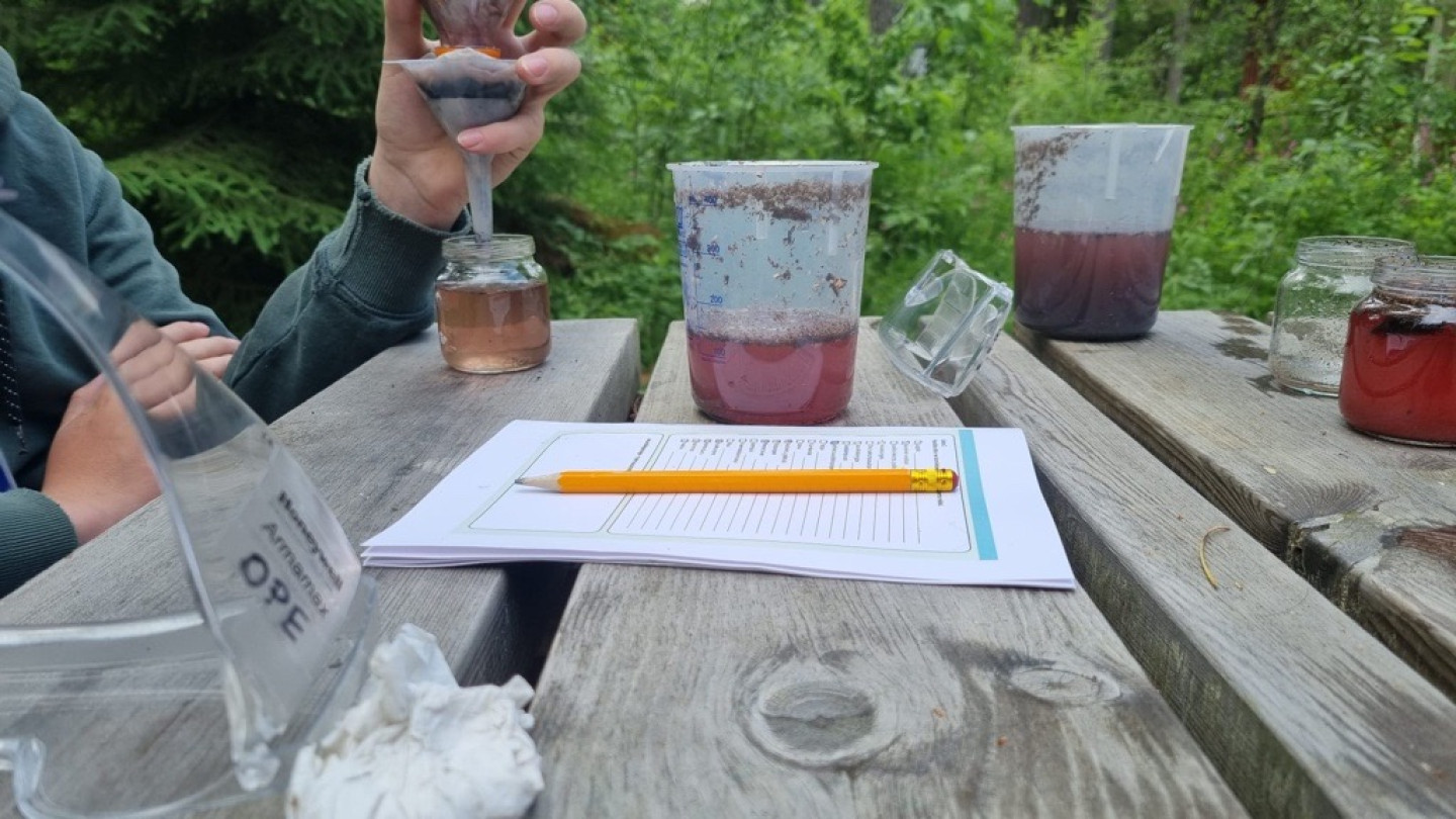 Tutkimusta kesän 2025 tiedeleirillä