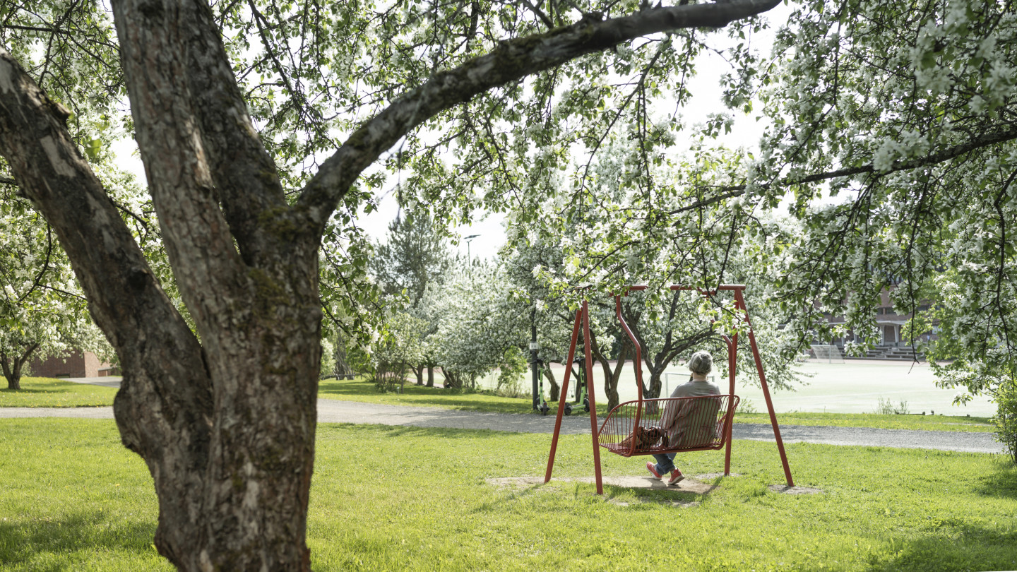 Kuva yliopiston kesäisestä kampuksesta