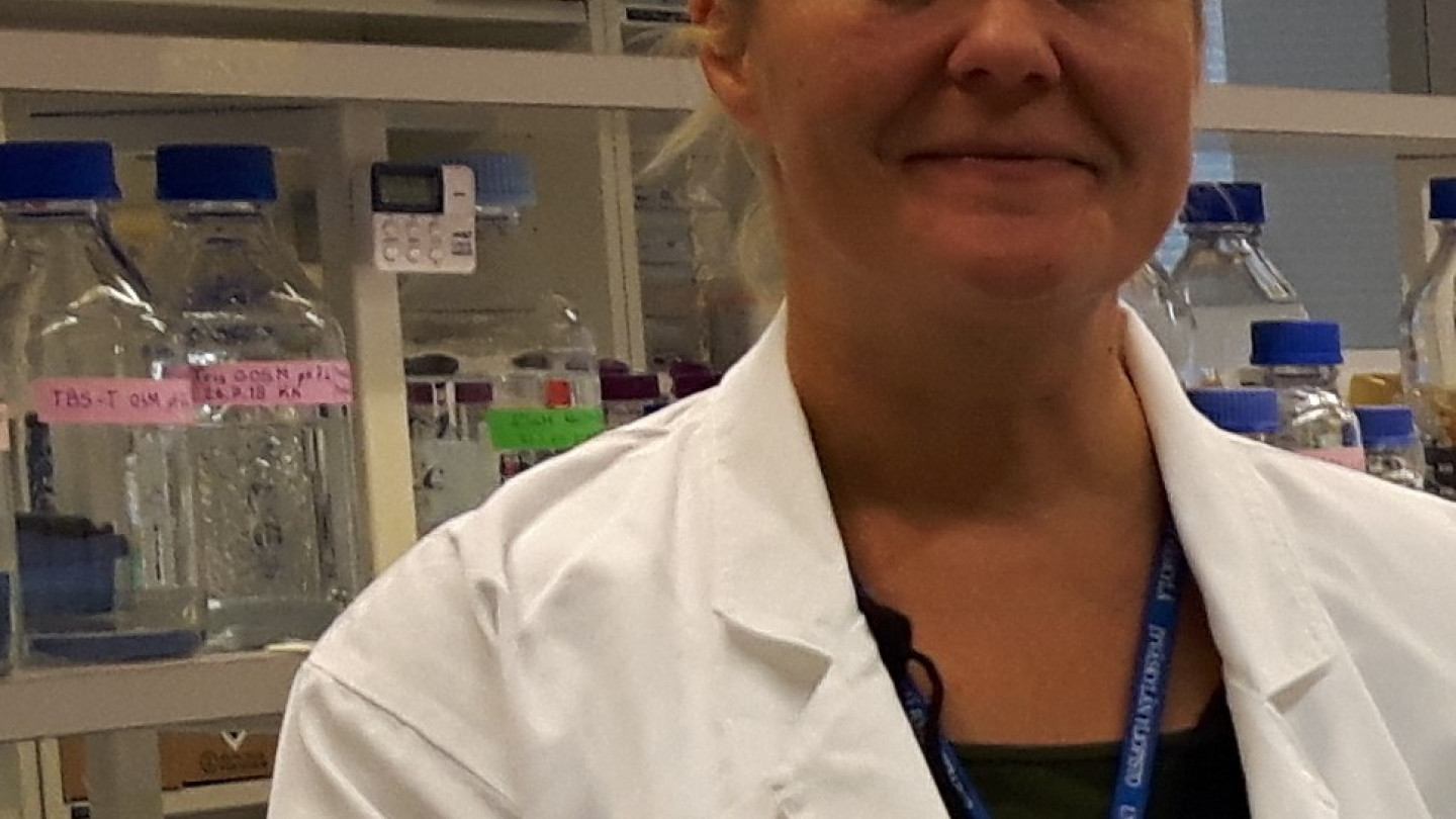 Satu Pekkala et al. Jyväskylän yliopistossa määrittivät vaikutuksia suolistomikrobistoon.