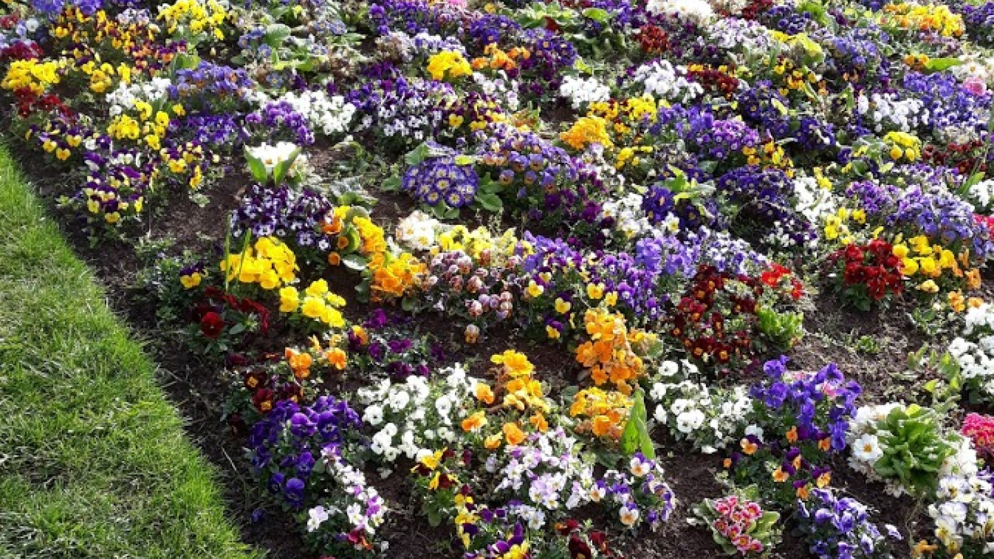 Lämpimät onnittelut tutkimuskausien saajille (Kuva Timo Taskinen)