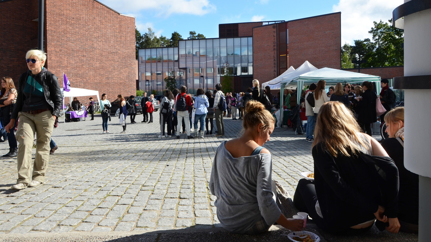 Jyväskylän yliopiston koodinoima TRY-hanke kehittää ja pilotoi vaihtoehtoja yliopistojen todistusvalinnalle.