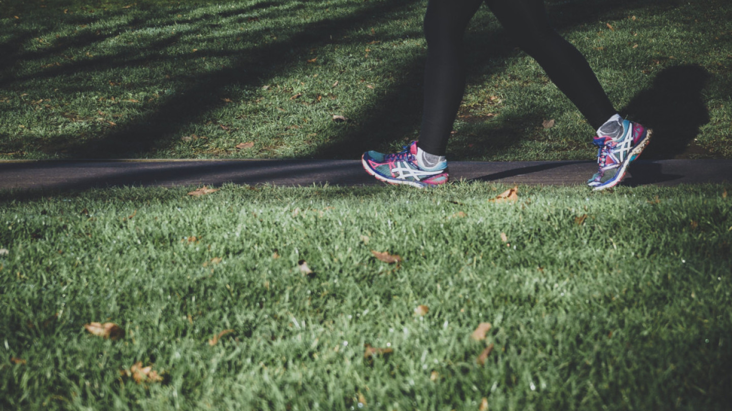 Opiskele terveystieteitä kesällä ja kartuta osaamistasi!