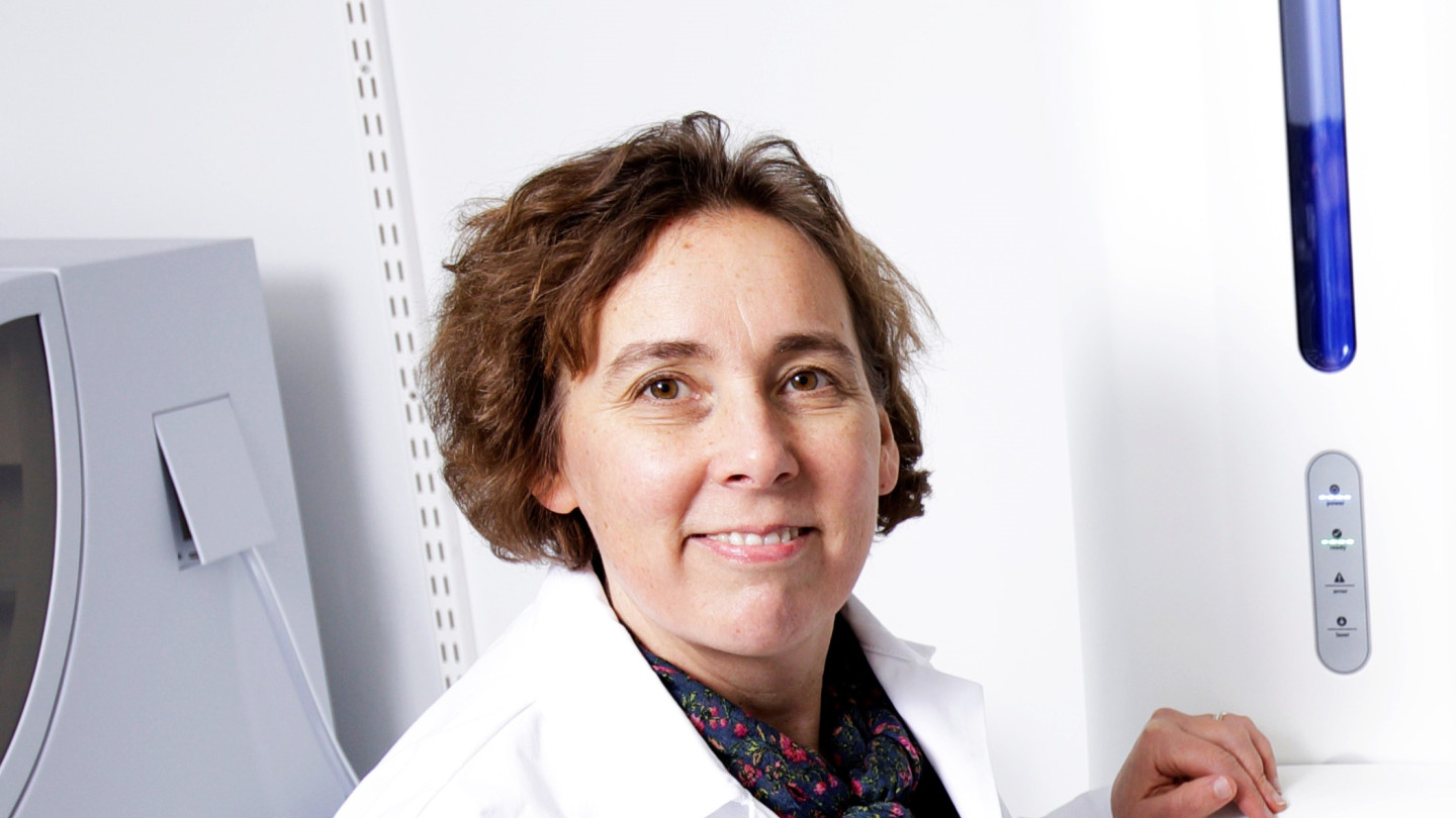 Professori Marja Tiirola sai rahoituksen tutkimukseen, jossa etsitään nanomateriaaleja hajottavia mikrobeja.