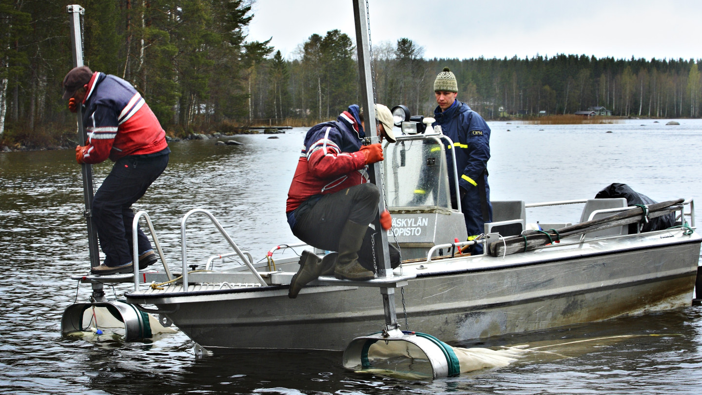 Monitieteinen kalatutkimus tuo tietoa kalavaroja koskevaan päätöksentekoon.