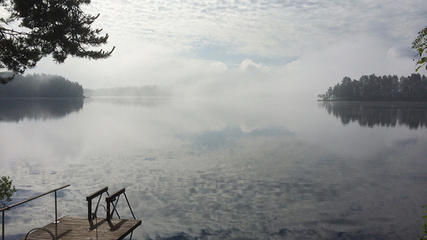 Lahjoittaja voi kohdentaa testamenttinsa yliopistolle yleisesti tai tärkeäksi kokemansa tutkimusalan hyväksi.
