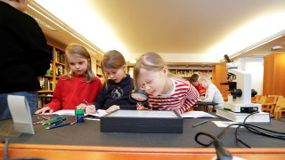 Koululaisia luontomuseossa pöydän ääressä.