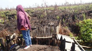 Landscape in Indonesia