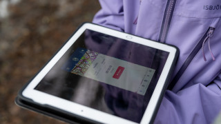 Muuttolintujen kevät