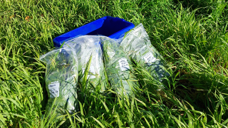 Kemian laitoksen turbits-hanke