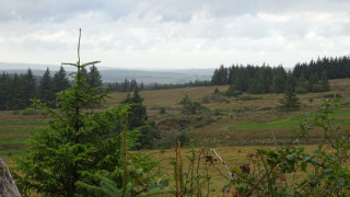 Irish landscape
