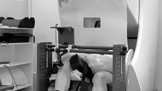 The participant is in the MEG lab