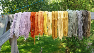 Sienivärjäyskurssin satoa