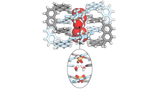 Sulfaatti sitoutuneena onteloon.