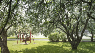JYU campus on summer