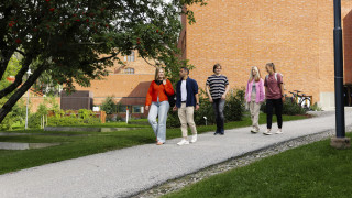 Opiskelijaporukka kävelemässä kampuksella