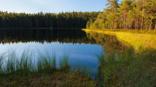 Kansalaiset haluavat säilyttää järvivedet puhtaina. Kuva Mostphotos.