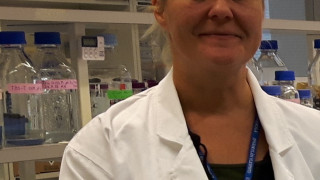 Satu Pekkala et al. Jyväskylän yliopistossa määrittivät vaikutuksia suolistomikrobistoon.