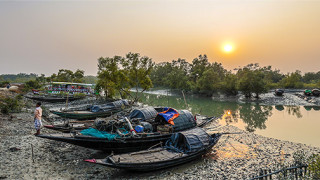 Sundarbanin suistoaluetta Intian itärannikolla. Kuva: Juha Laitalainen