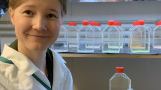 Pauliina Salmi ja tutkimusleviä kasvatuspulloissa. Kuva: Mervi Koistinen